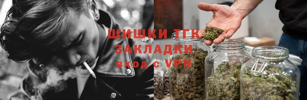 крисы Зерноград