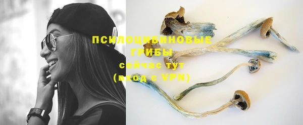 PSILOCYBIN Алзамай