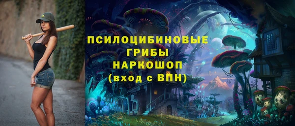 PSILOCYBIN Алзамай
