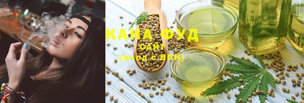 PSILOCYBIN Алзамай