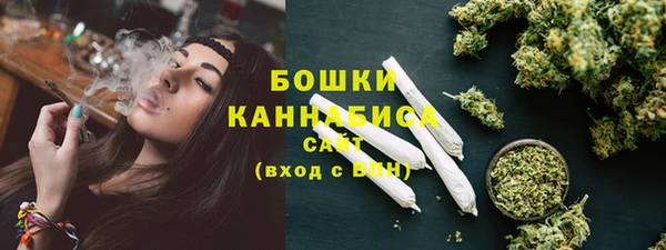 PSILOCYBIN Алзамай