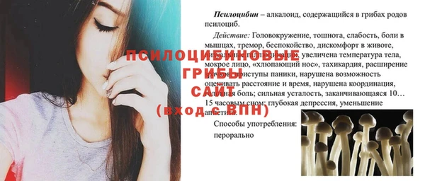 PSILOCYBIN Алзамай
